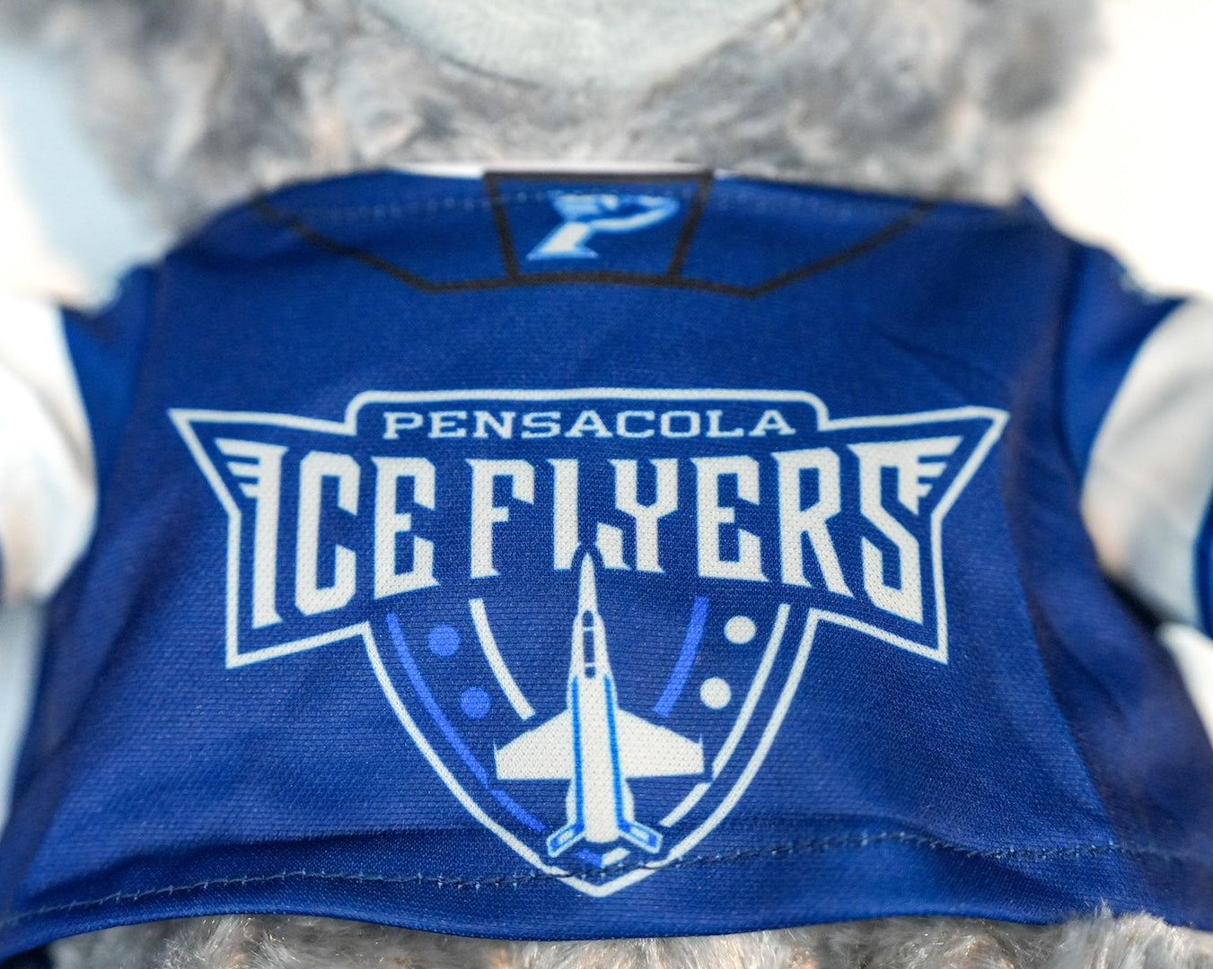 Ice Flyer Teddy Bear